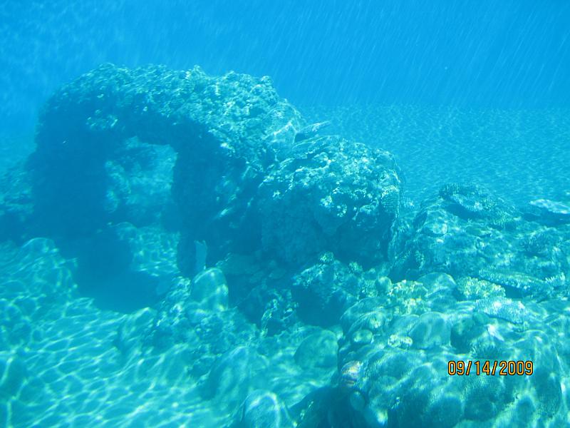 Picture 132